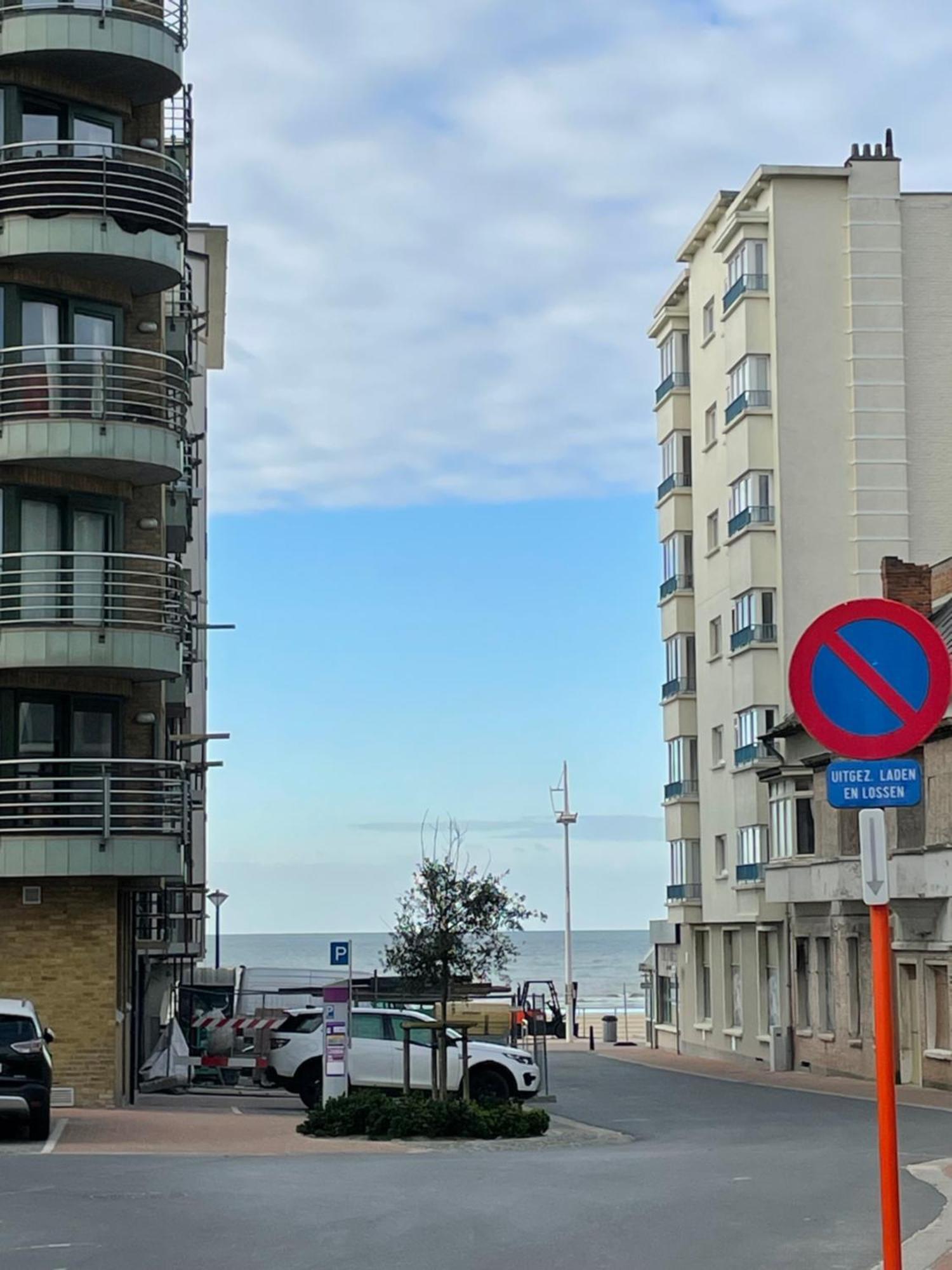 Zonnige Studio Mermoz Koksijde-Bad Eksteriør bilde